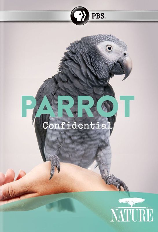 Nature: Parrot Confidential [DVD] [2013]