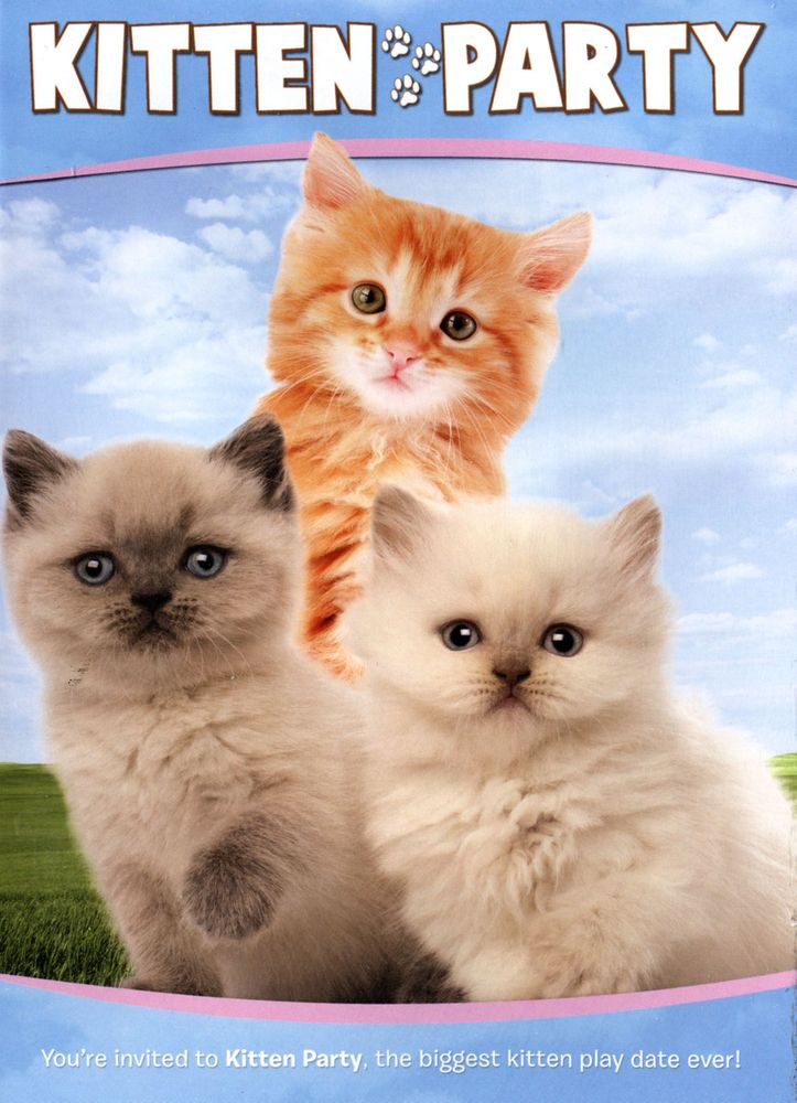 Animal Atlas: Kitten Party Holiday [DVD](品)