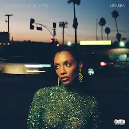 Mereba - The Breeze Grew a Fire - VINYL LP