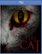 Front Standard. The Cat [Blu-ray] [2011].