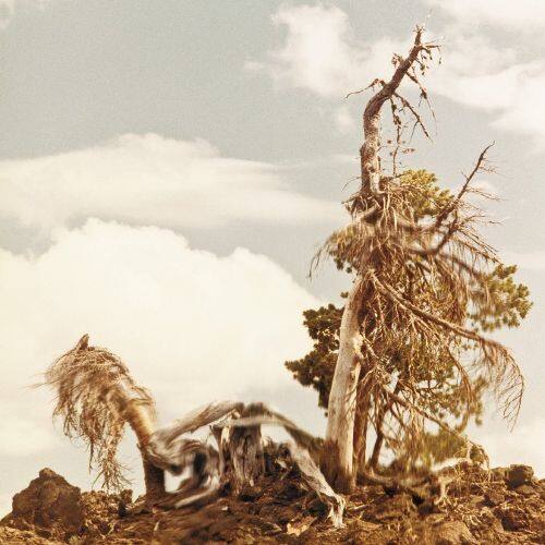 

Steep Formations [LP] - VINYL