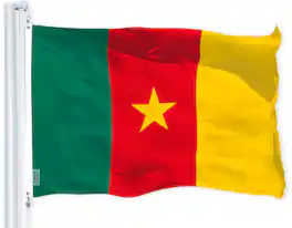 G128 - Cameroon Flag 150D Printed Polyester 3x5 ft - Assorted Colors