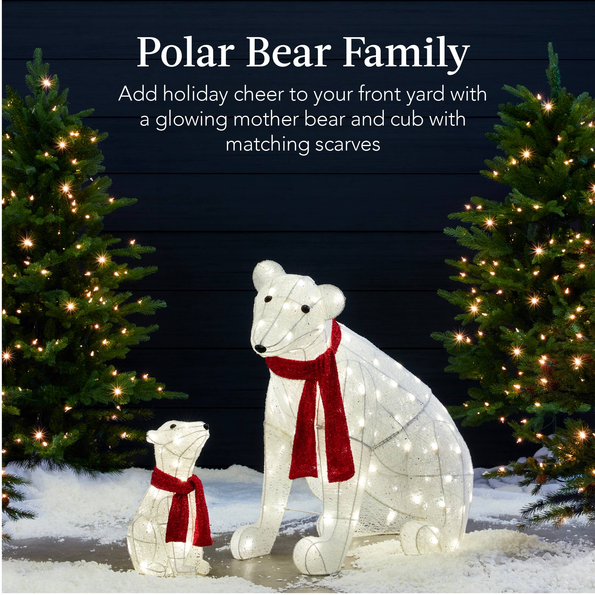 Polar Bear Family

Add holiday cheer to your front yard with a glowing mother bear and cub with matching scarves
