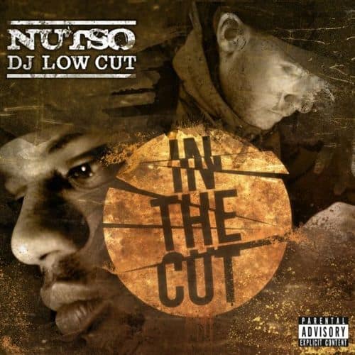 In The Cut [LP] - VINYL