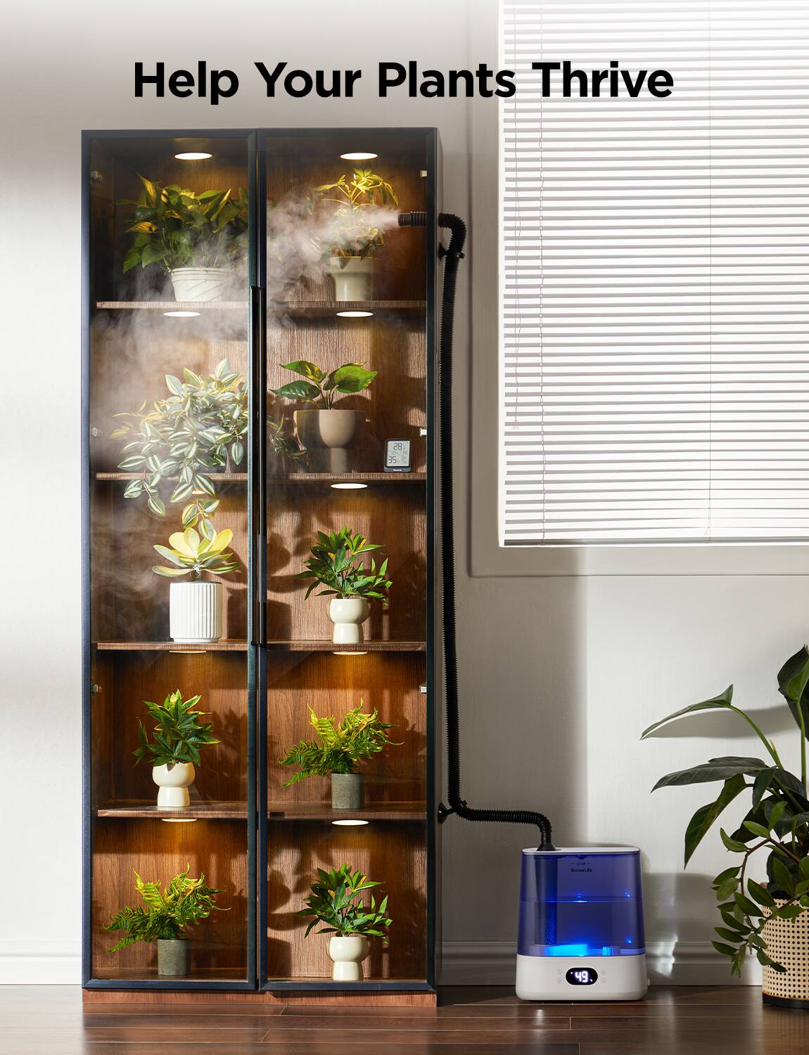 Help Your Plants Thrive