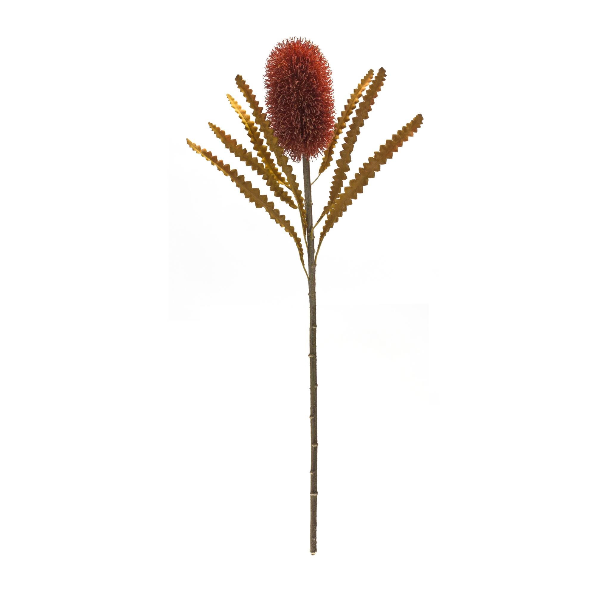 Left. BreeBe - Burnt Orange Banksia Floral Stem (Set of 6) - Green, Red.