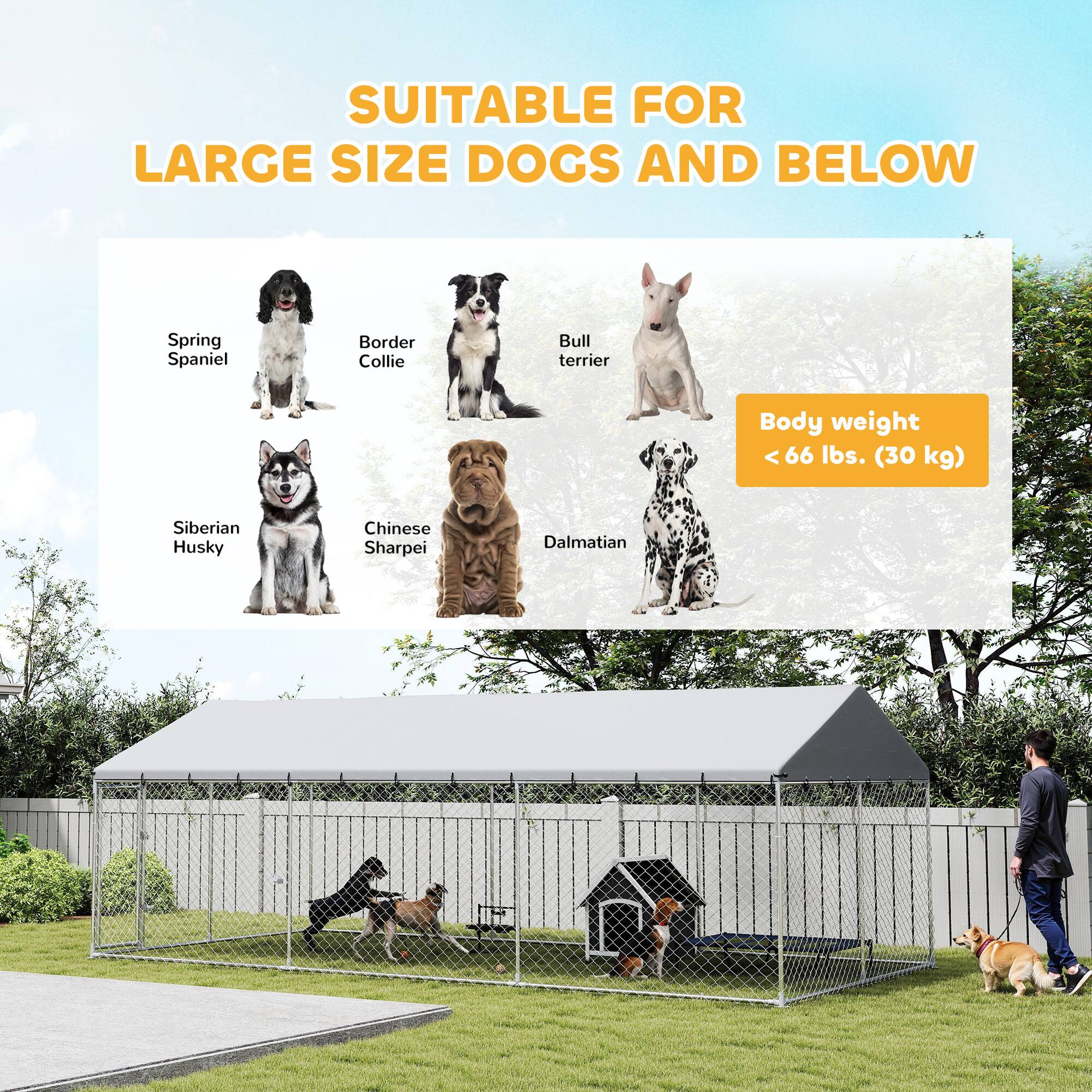 SUITABLE FOR LARGE SIZE DOGS AND BELOW

Body weight < 66 lbs. (30 kg)

- Spring Spaniel
- Border Collie
- Bull Terrier
- Siberian Husky
- Chinese Sharpei
- Dalmatian