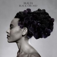 Black Orchid [LP] - VINYL - Front_Standard
