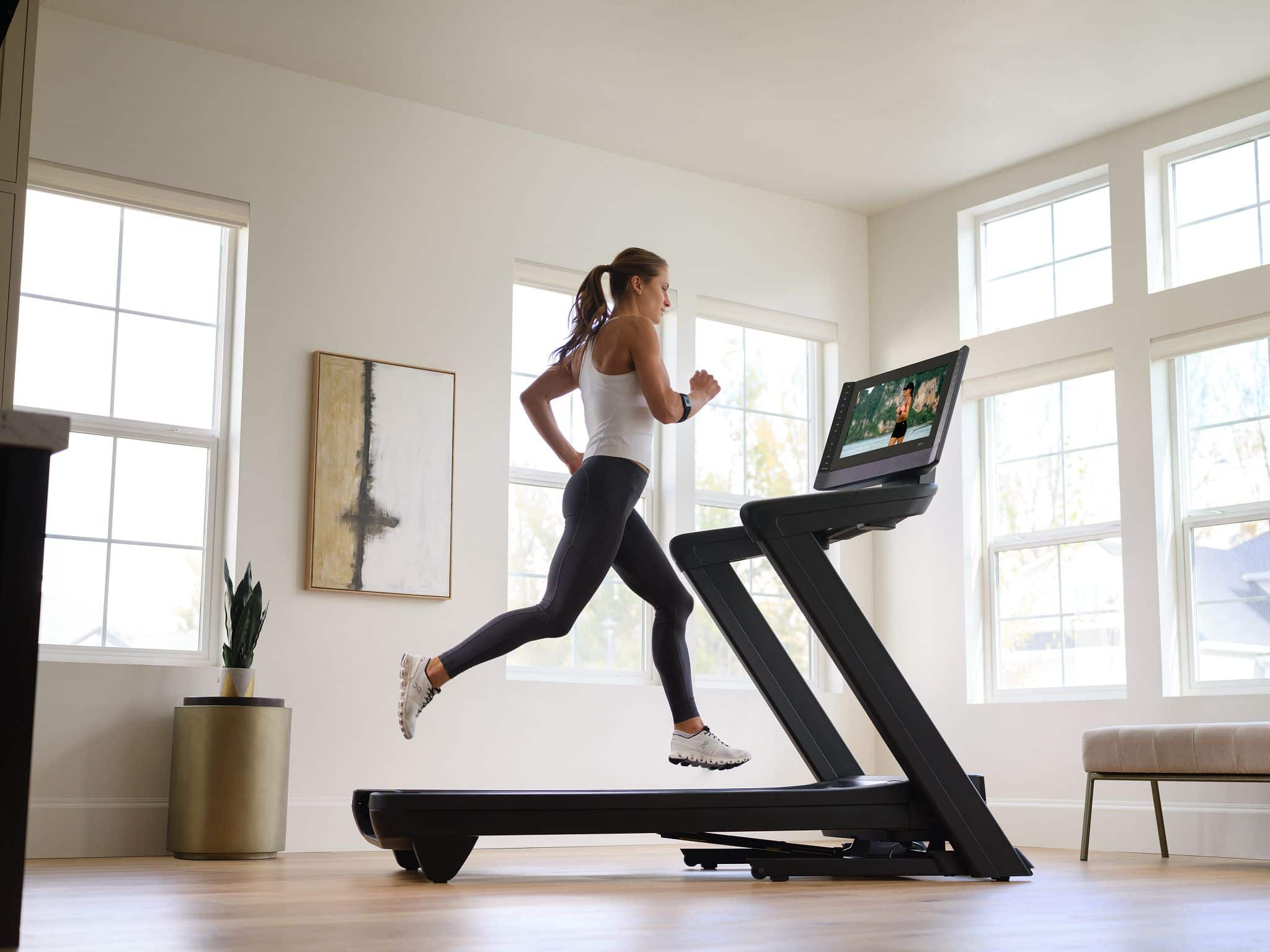 Customer Reviews: NordicTrack Commercial 2450 Treadmill Black NTL19124 ...