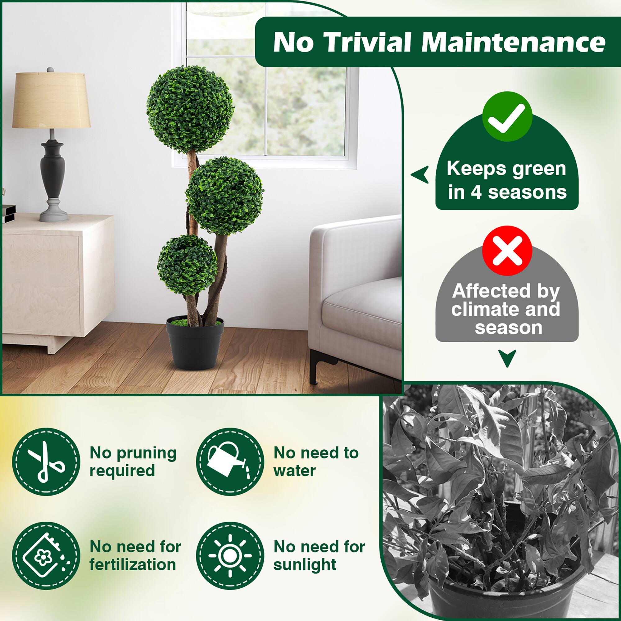 No Trivial Maintenance

- Keeps green in 4 seasons
- Not affected by climate and season

- No pruning required
- No need to water
- No need for fertilization
- No need for sunlight