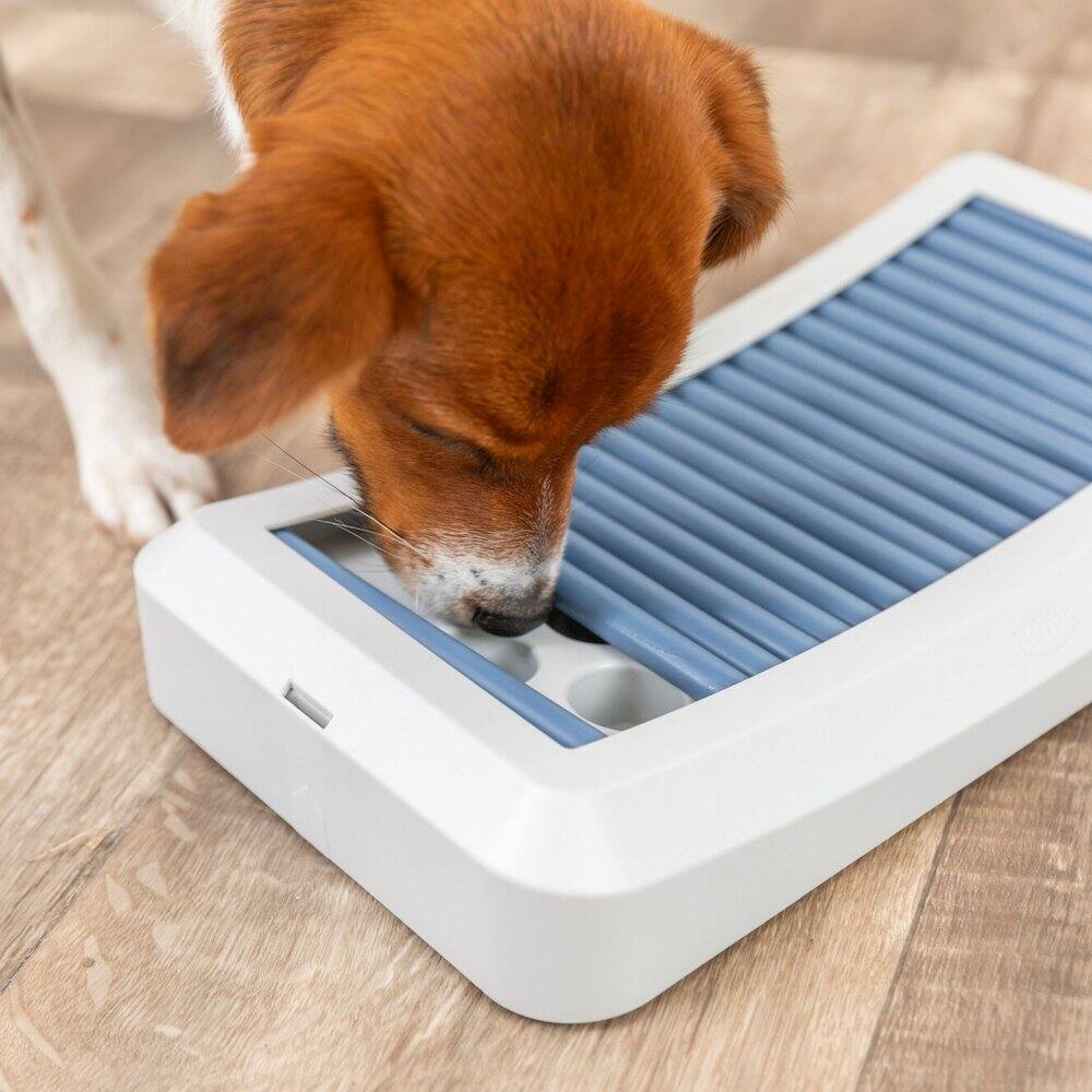 Angle. TRIXIE - Dog Activity Rod Board Strategy Game, Level 1 Dog Puzzle Toy, Dog Treat Toy - Blue.