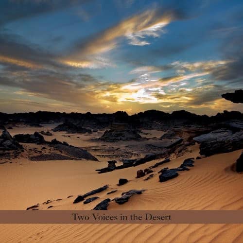 Perry Robinson - Two Voices in the Desert   - COMPACT DISCS [CD] price history on PriceWatchPro