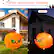 Perfect Decoration for Halloween: Can be used indoors and outdoors for parties and trick or treat night - DAY - - - - Night - -