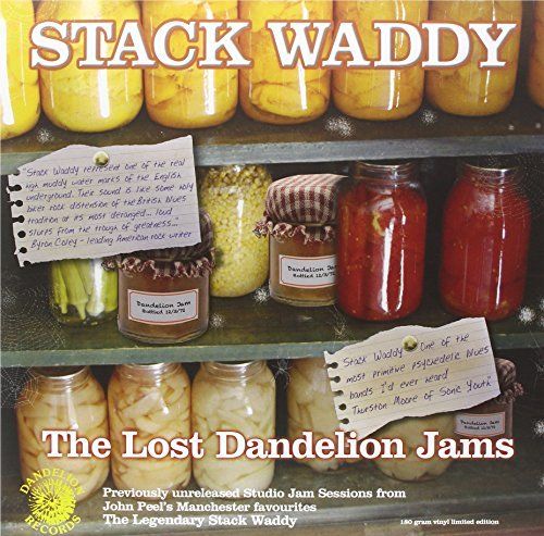 The Lost Dandelion Jams [LP] - VINYL