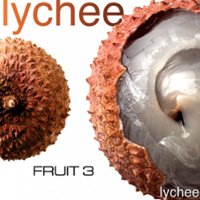 Rambutan Fruit [LP] - VINYL - Front_Standard