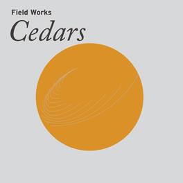 Field Works - Cedars - VINYL LP