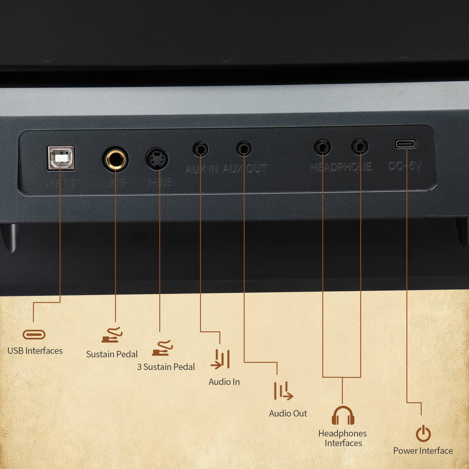 USE MIDI USB Interfaces  
SUS Sustain Pedal  
3-SUS 3 Sustain Pedal  
AUX IN/OUT Audio In Audio Out  
HEADPHONE Headphones Interfaces  
DC+5V Power Interface