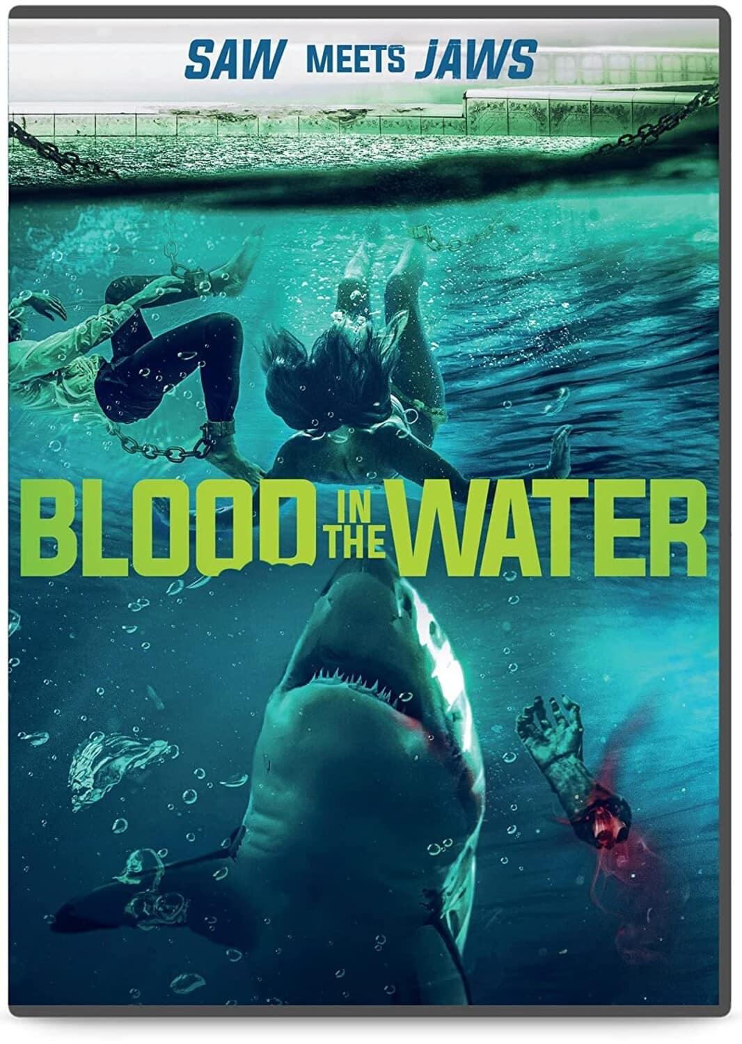 Blood in the Water  - DVD