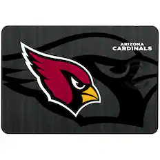 ARIZONA CARDINALS
FAST CHARGE