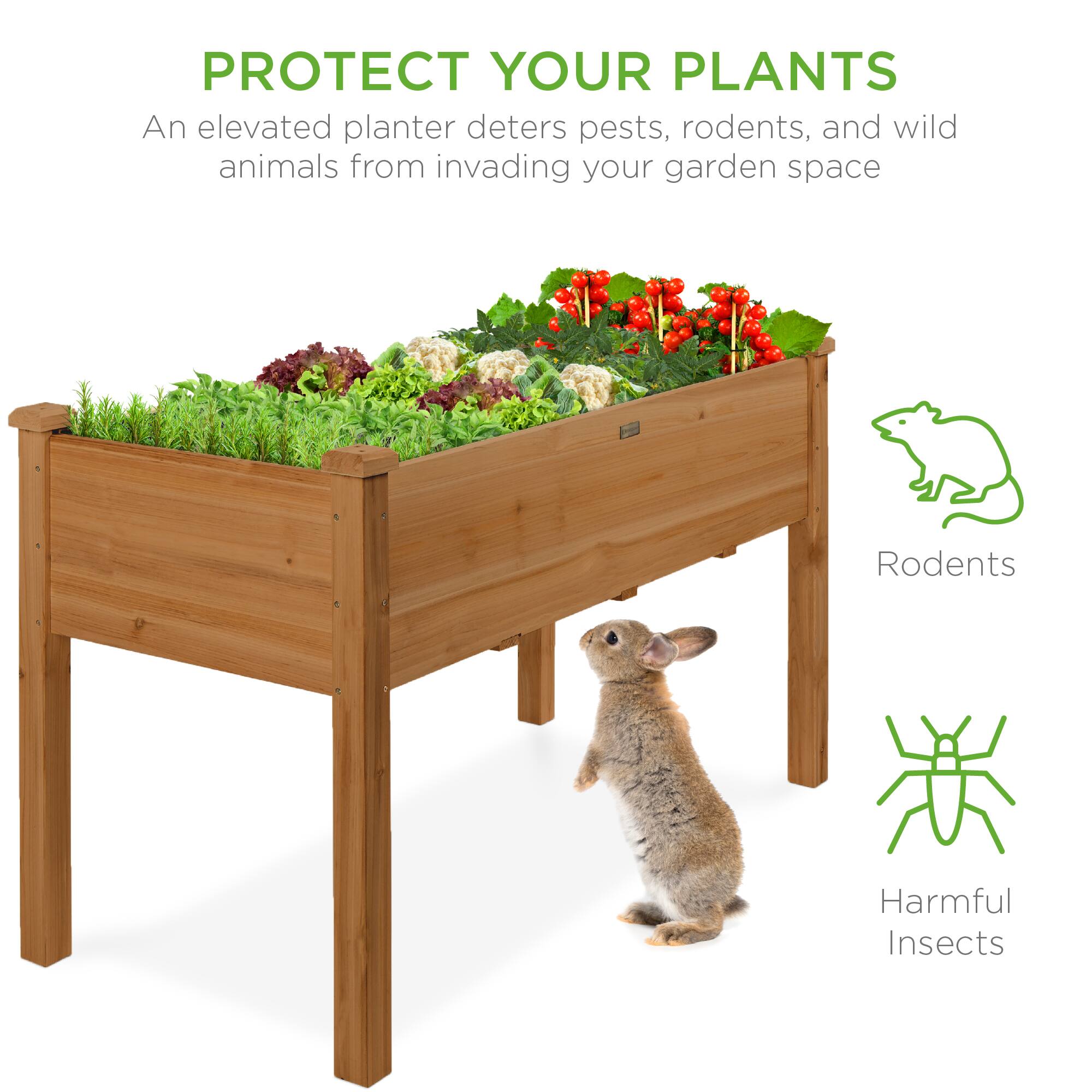 PROTECT YOUR PLANTS

An elevated planter deters pests, rodents, and wild animals from invading your garden space

Rodents

Harmful Insects