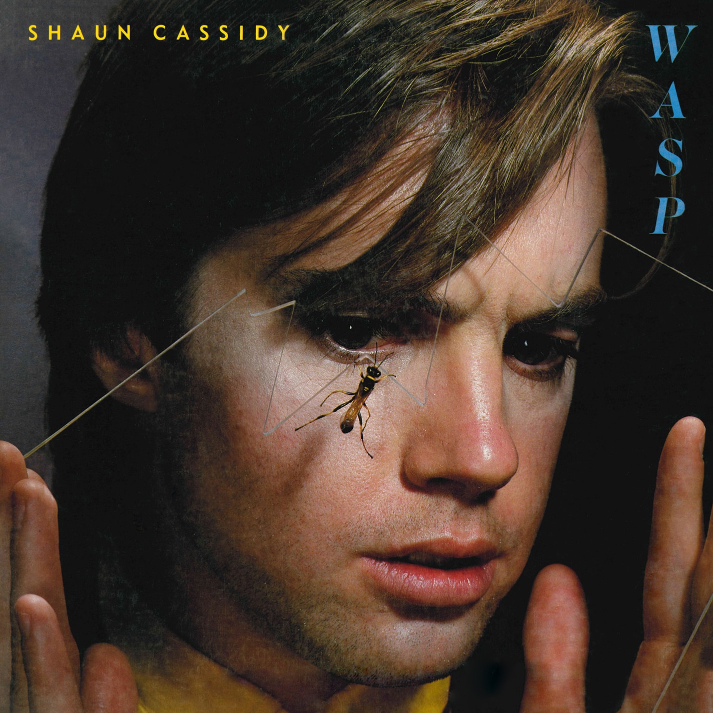 Wasp [LP] [VINYL] price history on PriceWatchPro