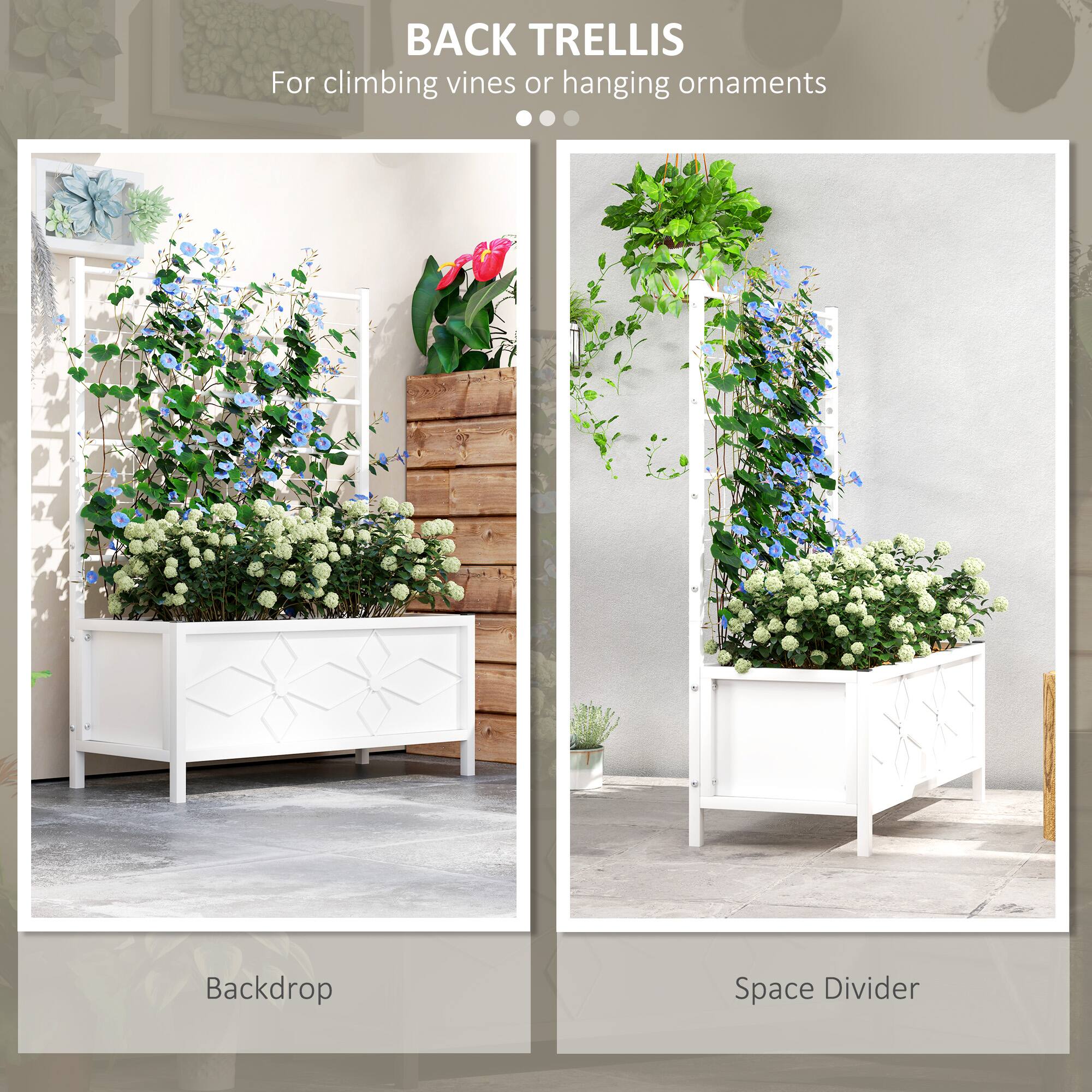 BACK TRELLIS  
For climbing vines or hanging ornaments  

Backdrop  
Space Divider