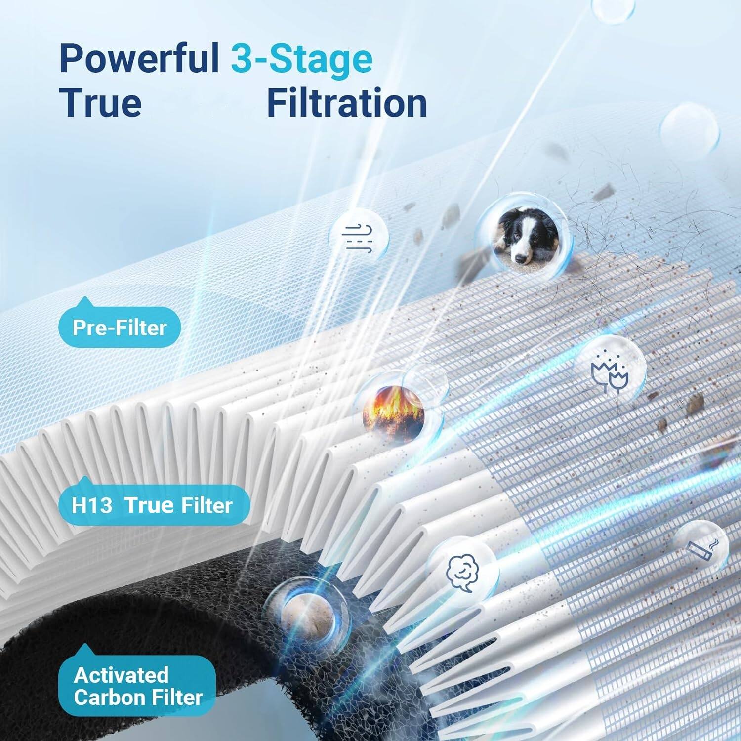 Powerful 3-Stage True Filtration  
- Pre-Filter  
- H13 True Filter  
- Activated Carbon Filter