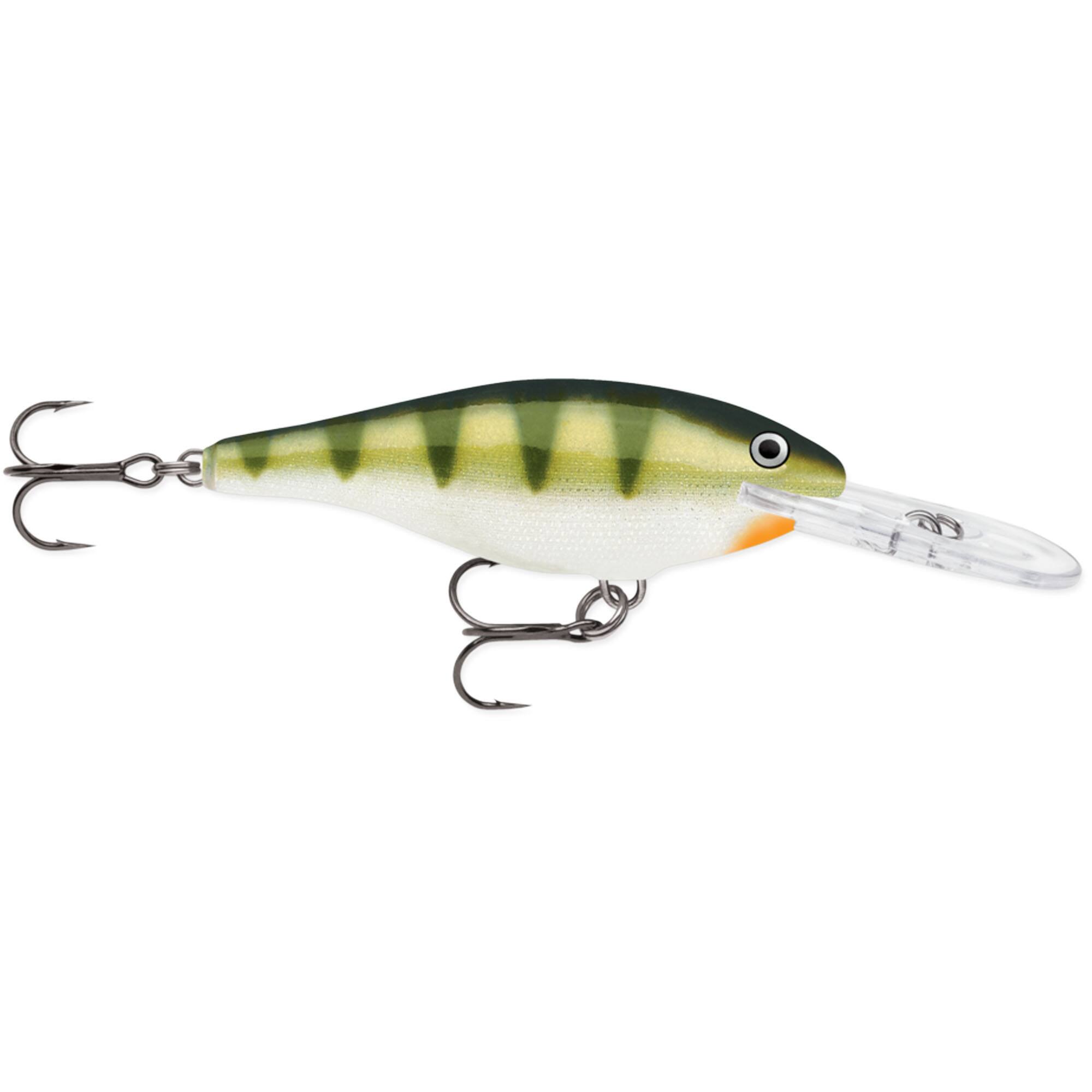 Yellow Perch