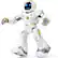 FutureX Bot
RHYTHM