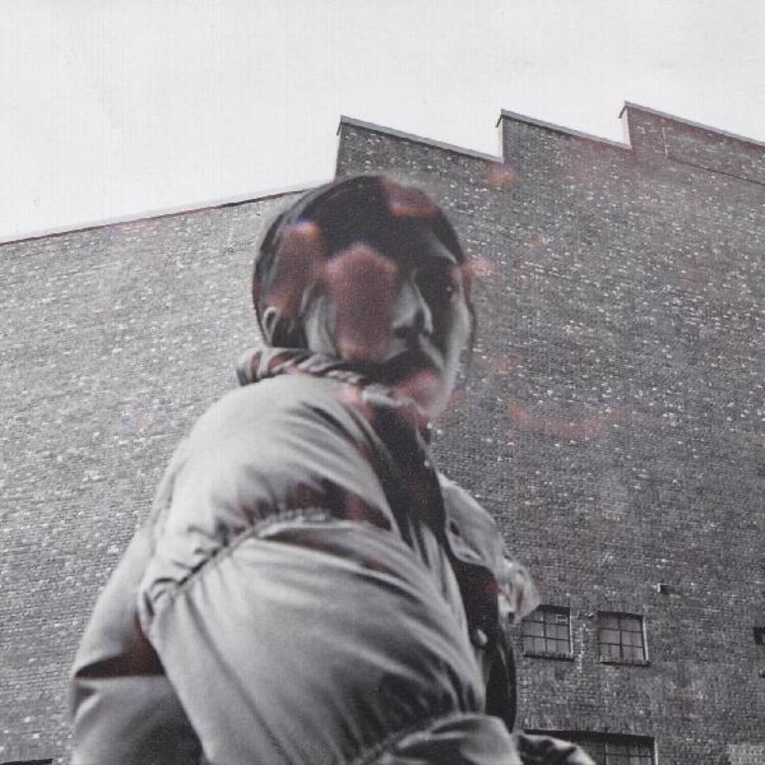 Front. Aldous Harding - Warm Chris   - VINYL LP.