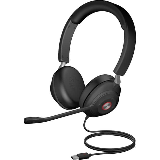 Cyber Acoustics - Essential USB Computer Headset - Stereo - USB Type A - Wired - 20 Hz to 20 kHz - Over-the-head - Binaura - Unknown