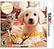 Front Detail. nintendogs + cats: Golden Retriever & New Friends - Nintendo 3DS.