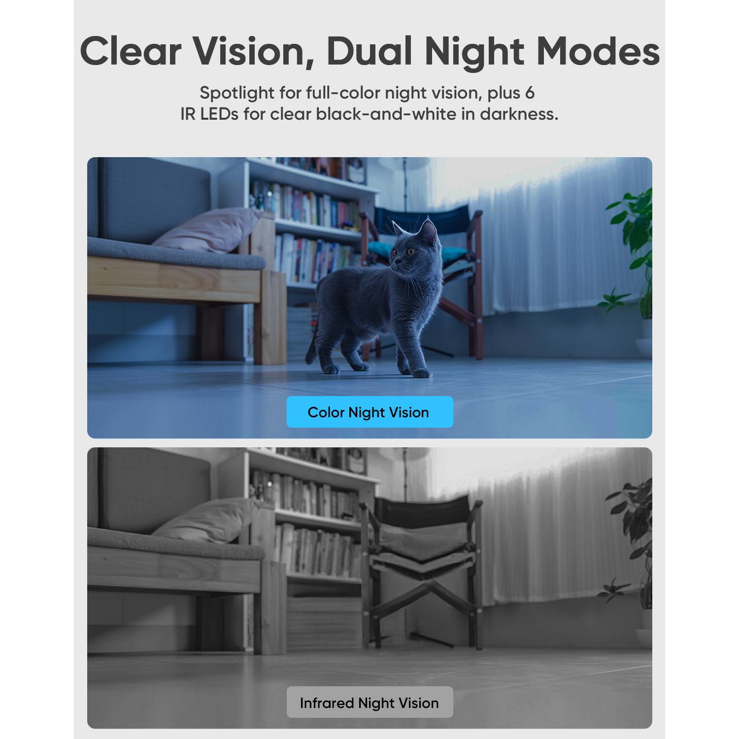 Clear Vision, Dual Night Modes  
Spotlight for full-color night vision, plus 6 IR LEDs for clear black-and-white in darkness.  

Color Night Vision  
Infrared Night Vision