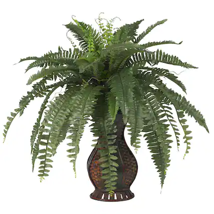 Front. BreeBe - Boston Fern w/Urn Vase - Green.