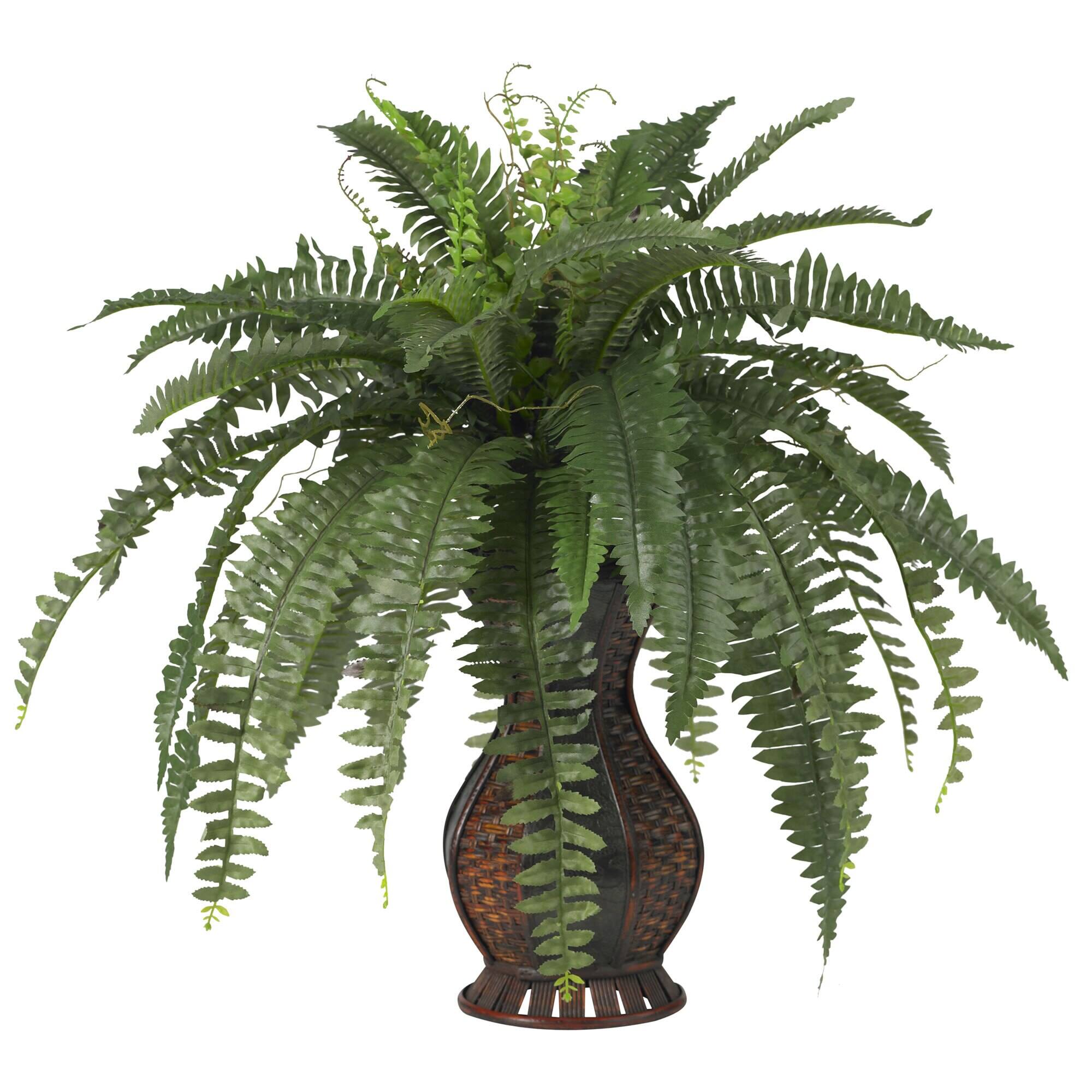 Front. BreeBe - Boston Fern w/Urn Vase - Green.