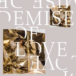 Demise of Love - Demise Of Love - VINYL LP
