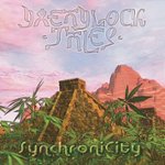 Front Standard. Synchronicity [CD].