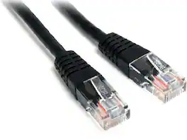 Startech - Cat5e UTP Patch Cable - 2 ft