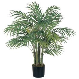 BreeBe - 3' Areca Palm Tree x 7 w/536 Lvs - Green