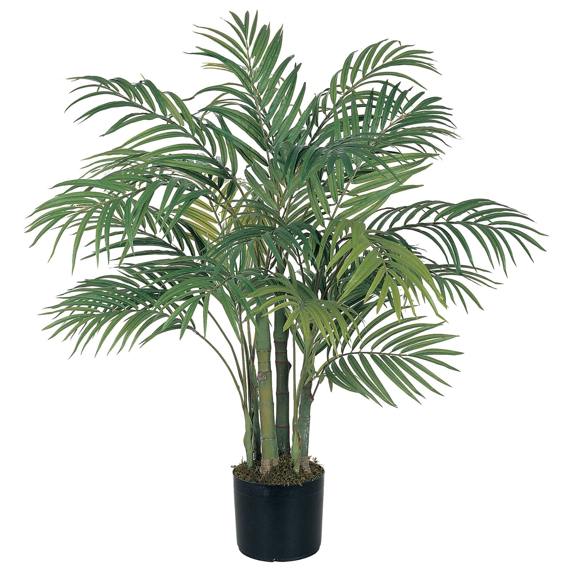 Front. BreeBe - 3' Areca Palm Tree x 7 w/536 Lvs - Green.