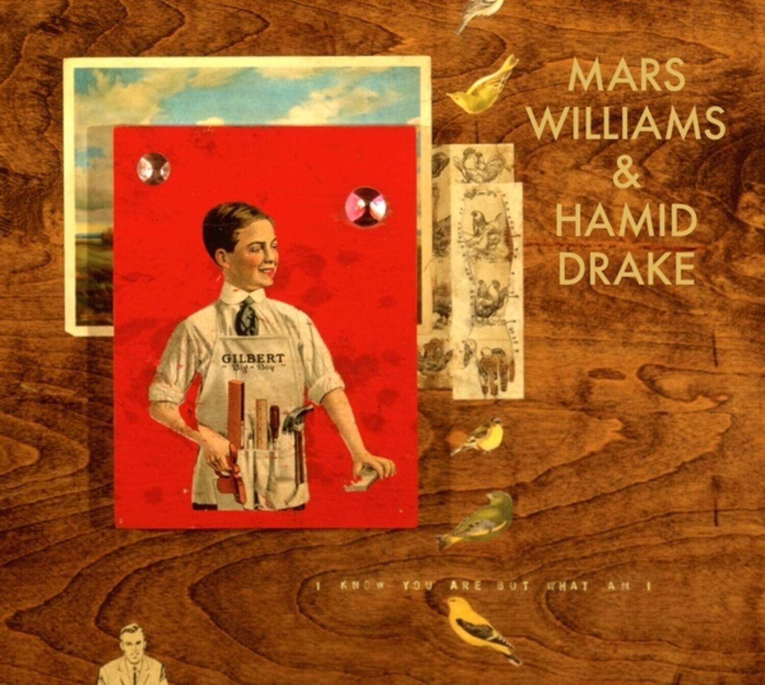 MARS WILLIAMS & HAMID DRAKE

GILBERT

I KNOW YOU ARE BUT WHAT AM I
