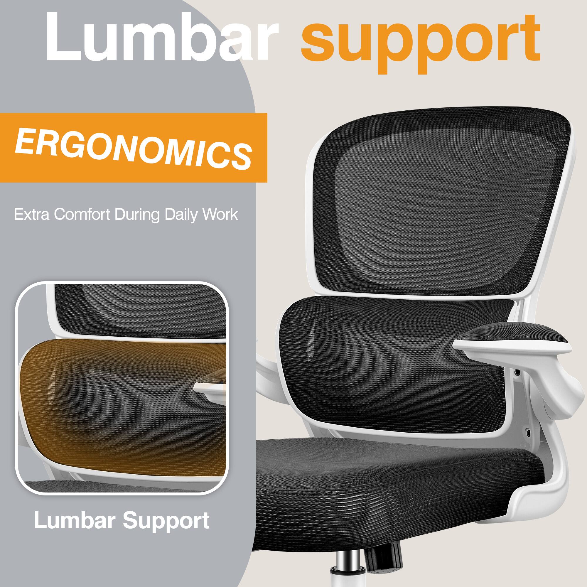 Lumbar support

ERGONOMICS

Extra Comfort During Daily Work

Lumbar Support