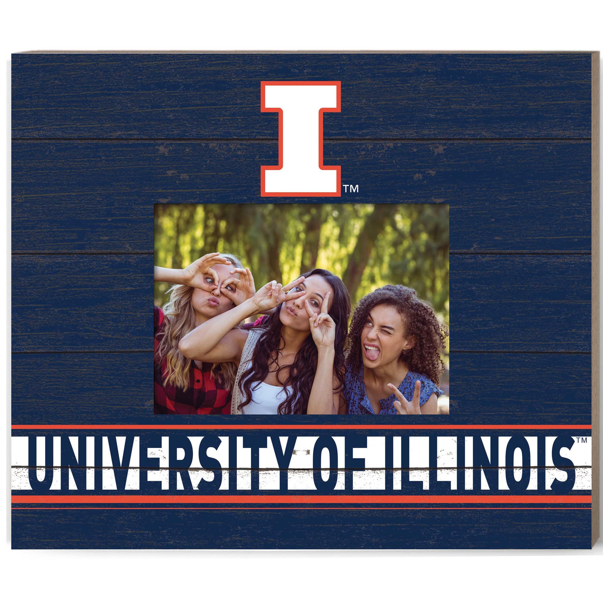 Jardine - Illinois Fighting Illini 11'' x 13'' Team Spirit Picture Frame - Navy price history on PriceWatchPro