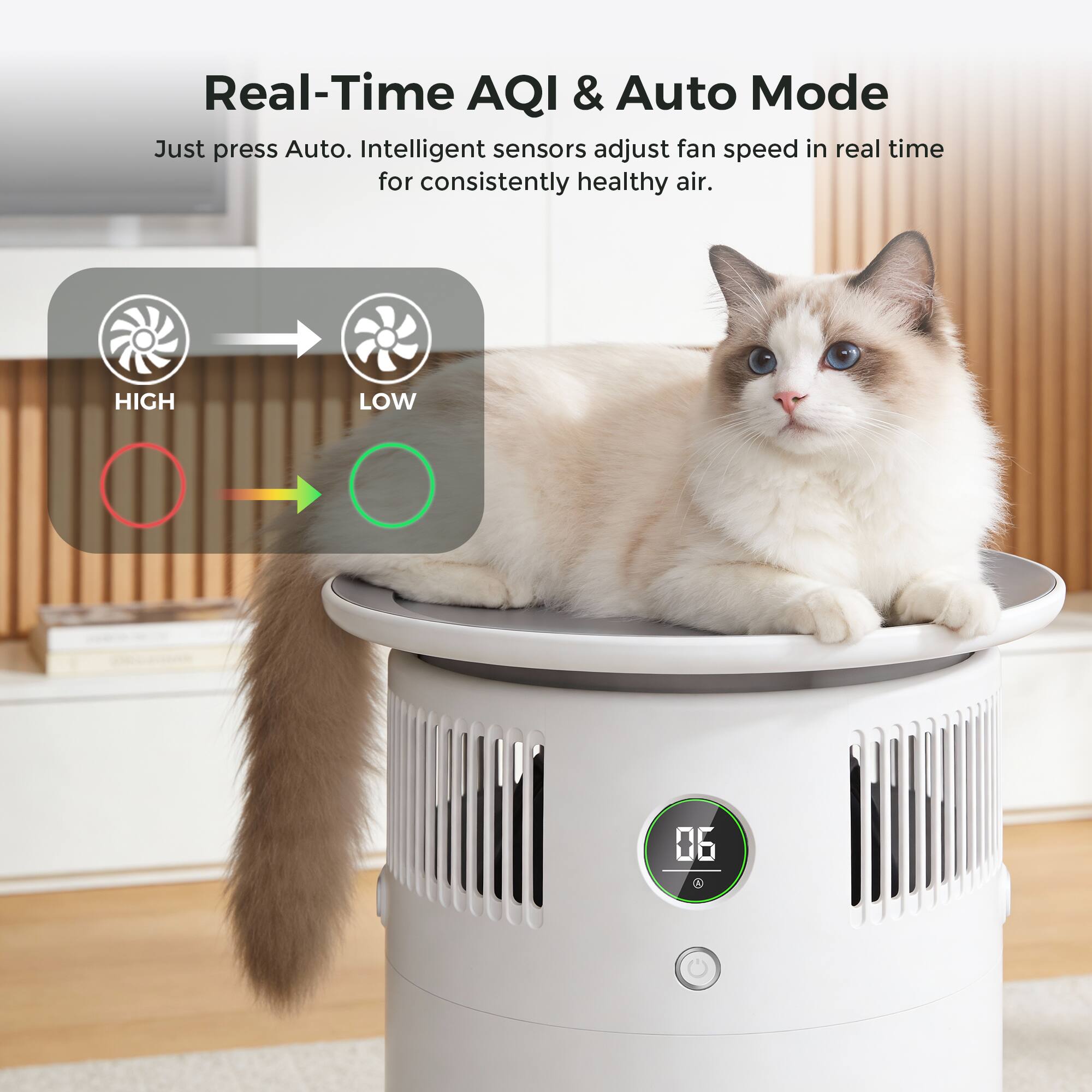 Real-Time AQI & Auto Mode  
Just press Auto. Intelligent sensors adjust fan speed in real time for consistently healthy air.  
HIGH LOW  
06