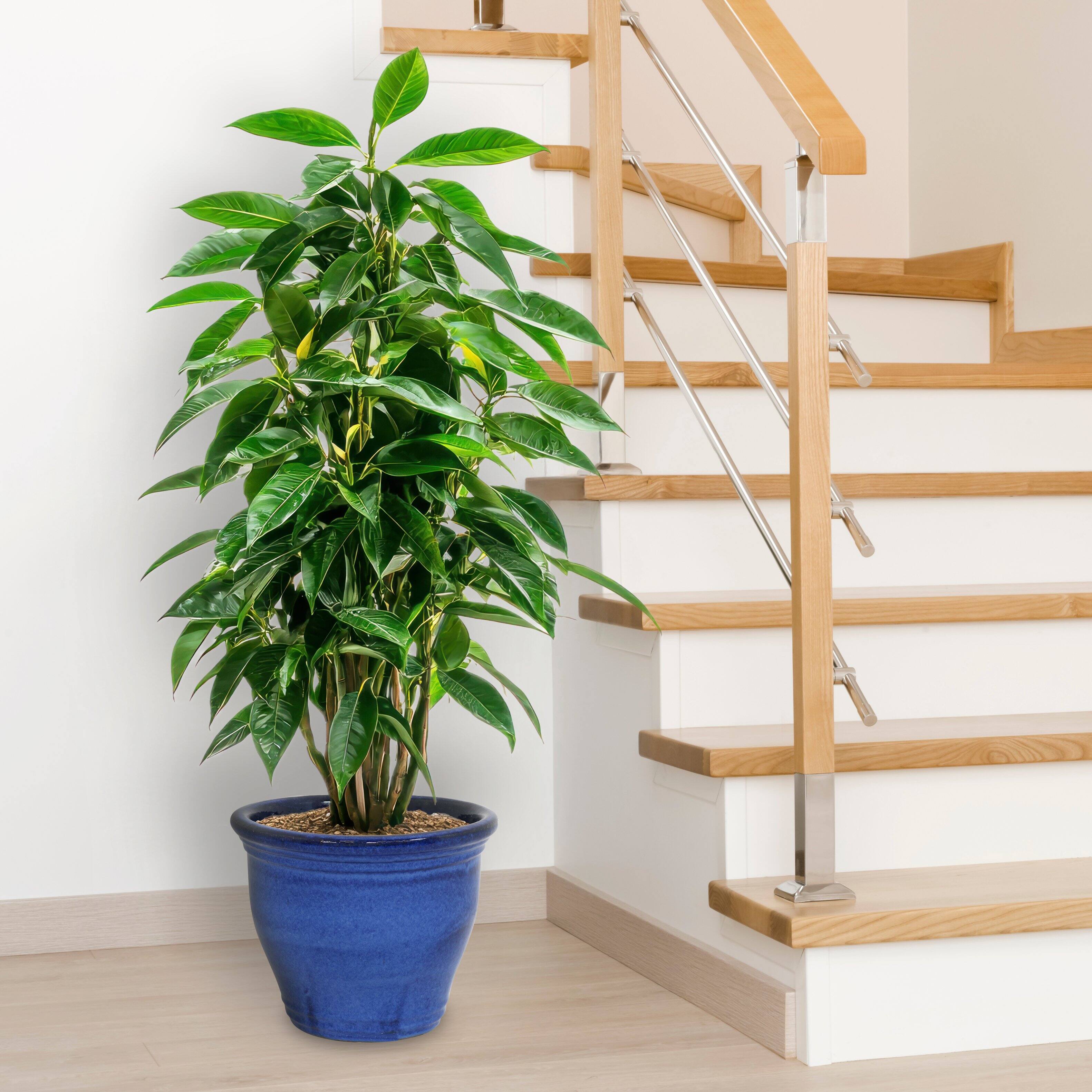 Alt View 9. Sunnydaze - 15 in Studio High-Fired Glazed Ceramic Planter - Imperial Blue.