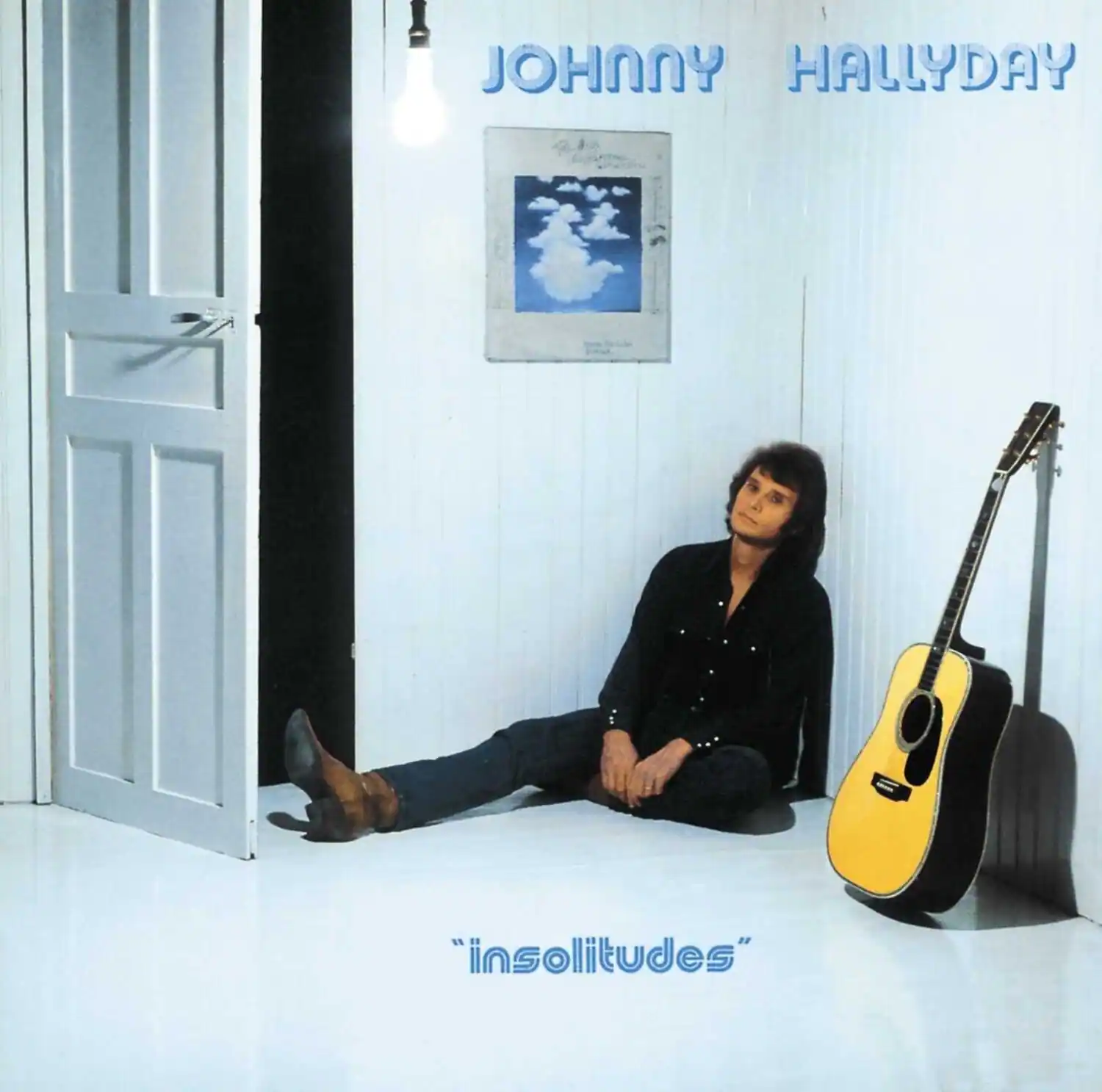 JOHNNY HALLYDAY  
"insolitudes"