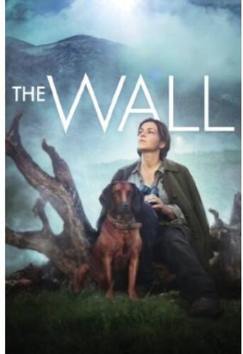 The Wall  - DVD