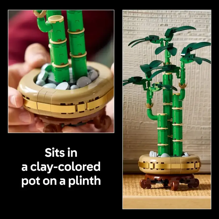 Sits in a clay-colored pot on a plinth.