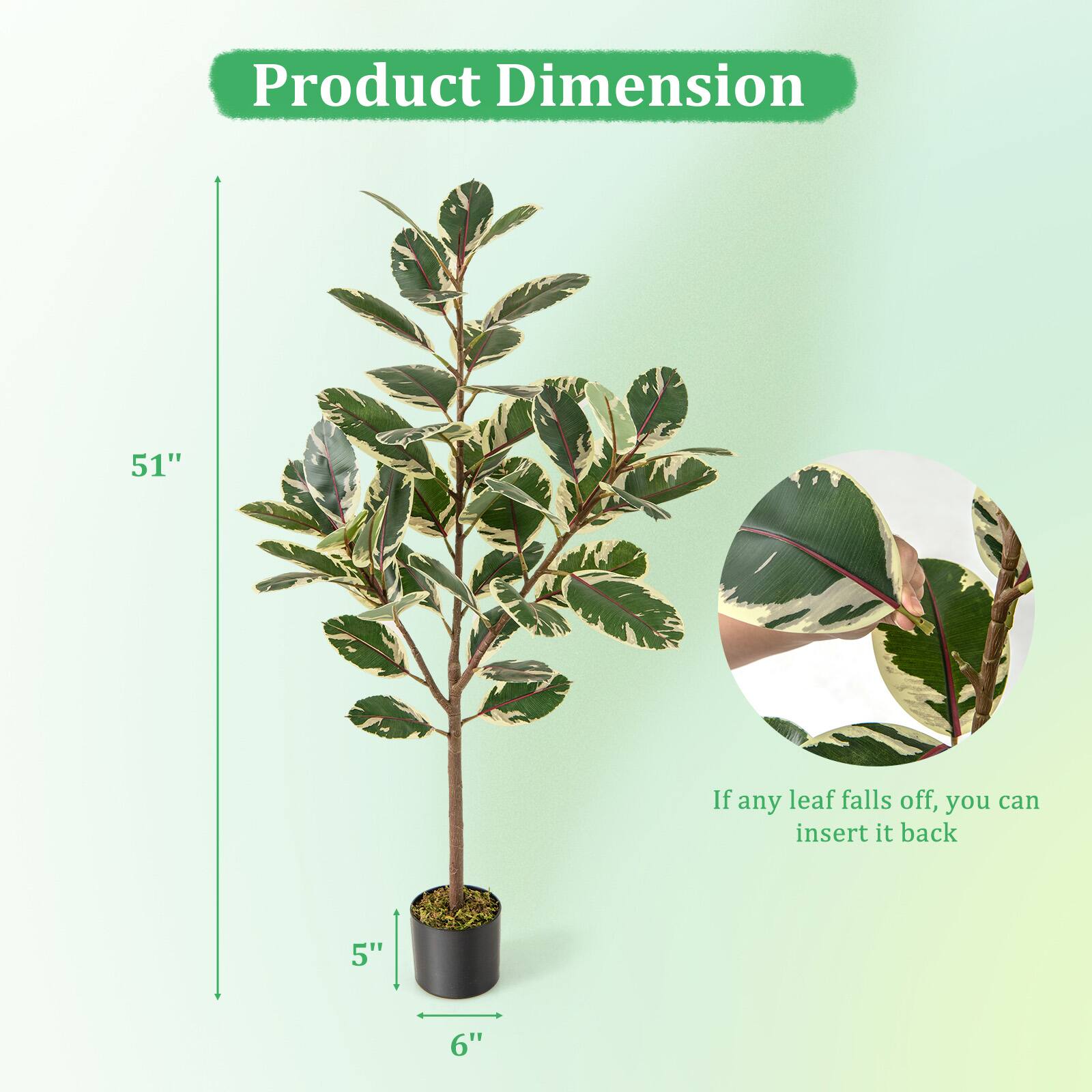Product Dimension

If any leaf falls off, you can insert it back

51"

5"

6"