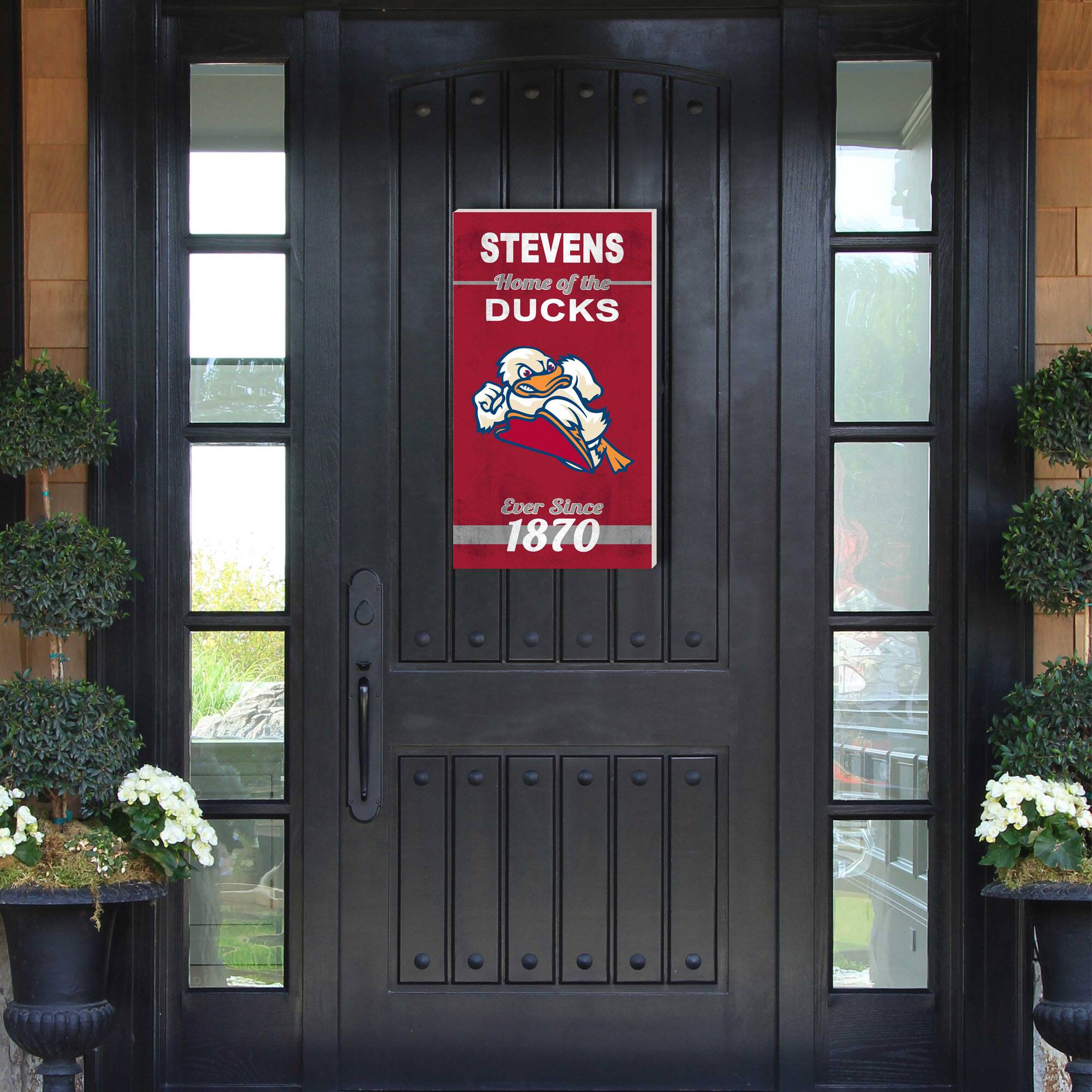 STEVENS Home of the DUCKS Ever Since 1870